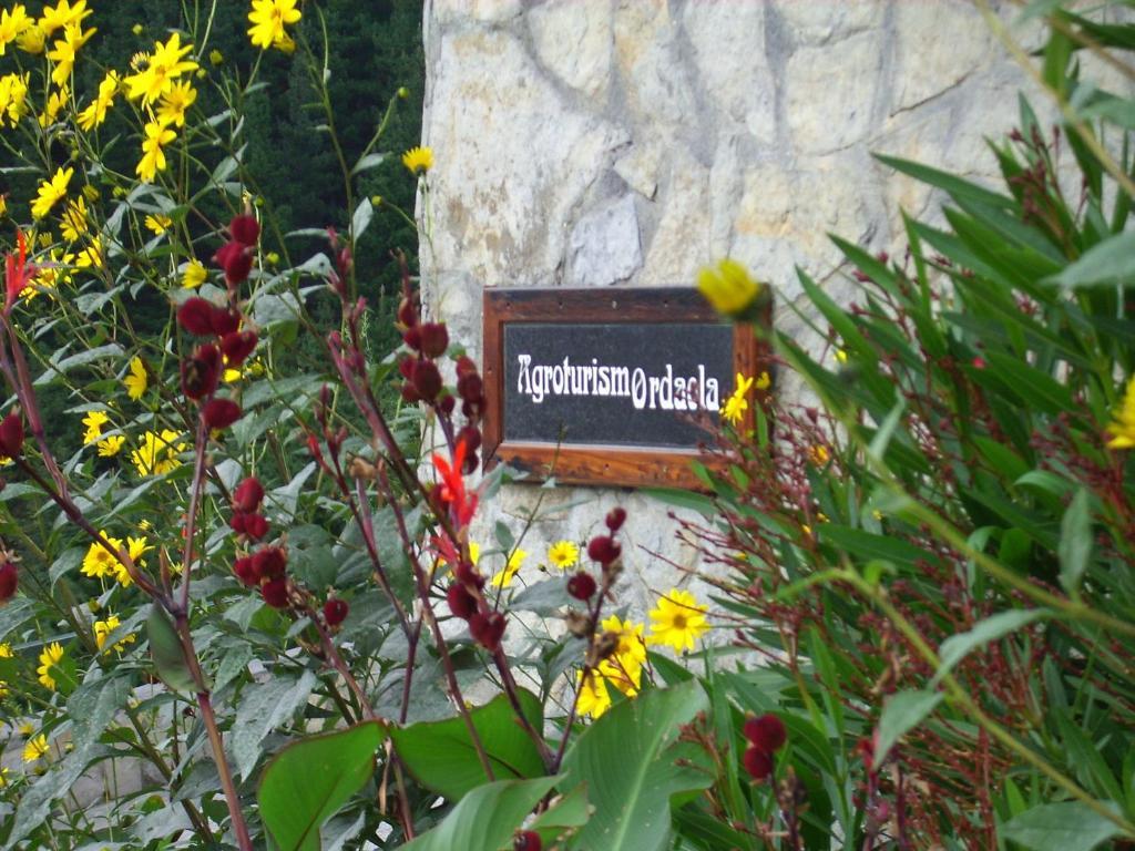 Agroturismo Ordaola Alonsotegi Extérieur photo